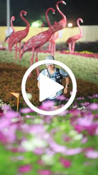 BIB:  <button type="button" onclick="openModal(27591077)" class="btn btn-primary btn-sm float-right" data-toggle="modal" data-target=".modal-high-quality">
                <i class="fa fa-download"></i> Download
                </button>